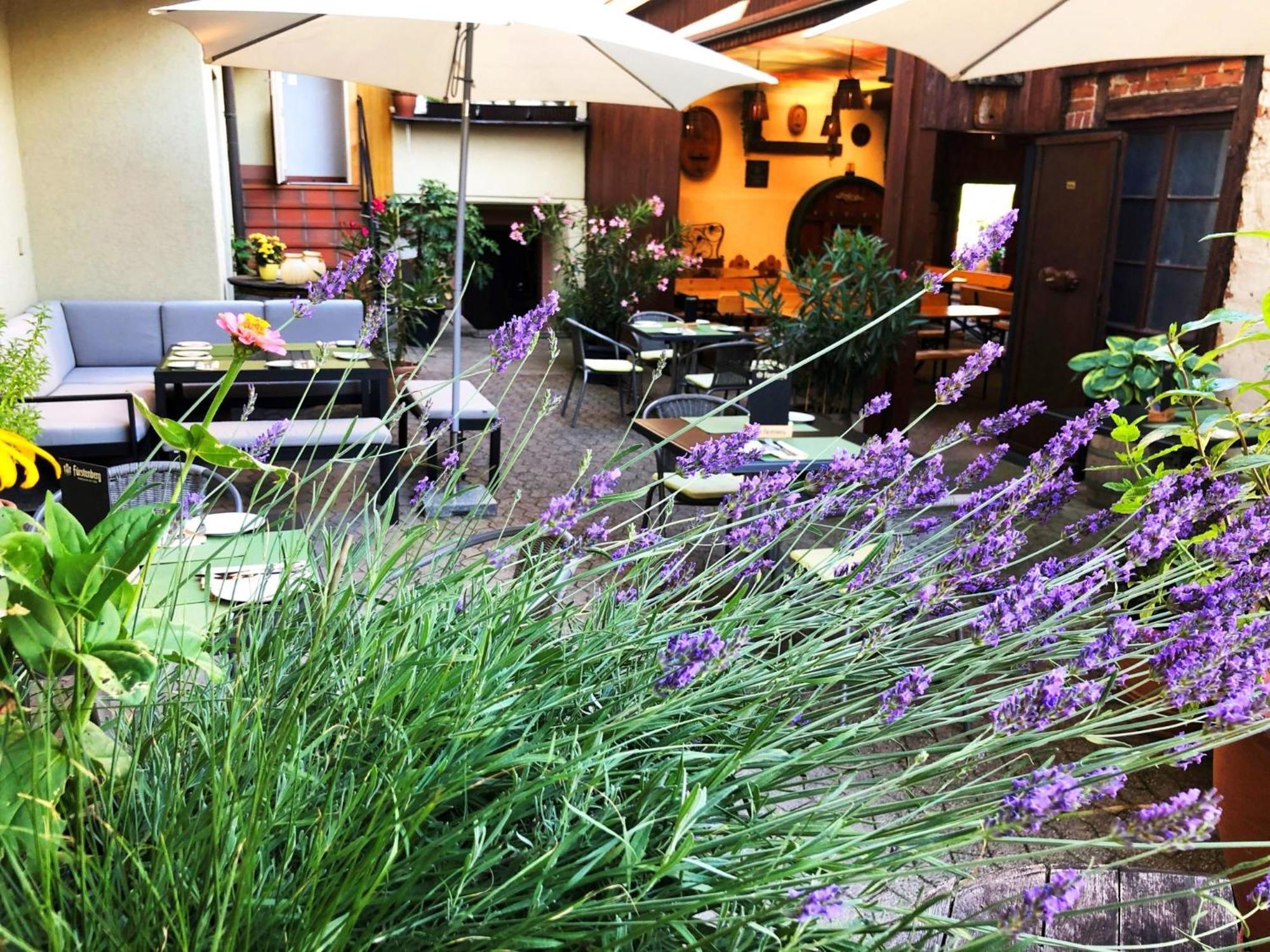 Appartements 'In Vino Veritas' Haslach im Kinzigtal Ngoại thất bức ảnh