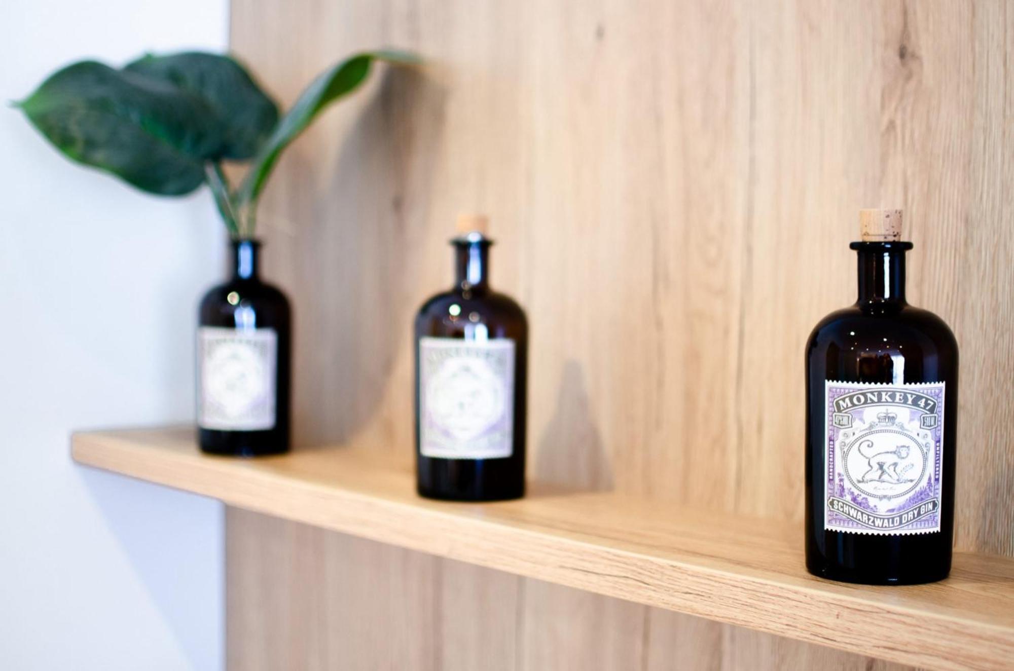 Appartements 'In Vino Veritas' Haslach im Kinzigtal Ngoại thất bức ảnh
