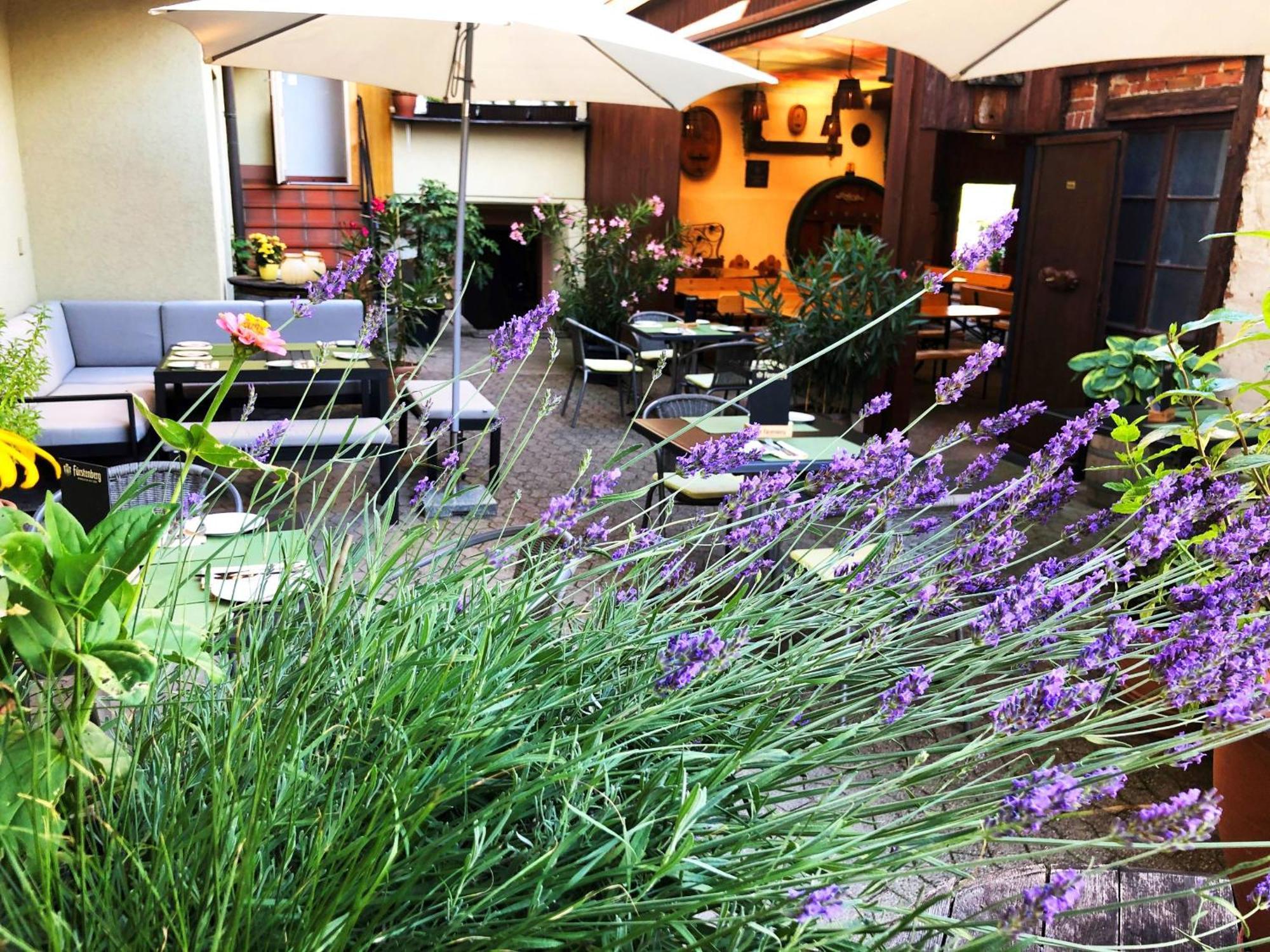 Appartements 'In Vino Veritas' Haslach im Kinzigtal Ngoại thất bức ảnh