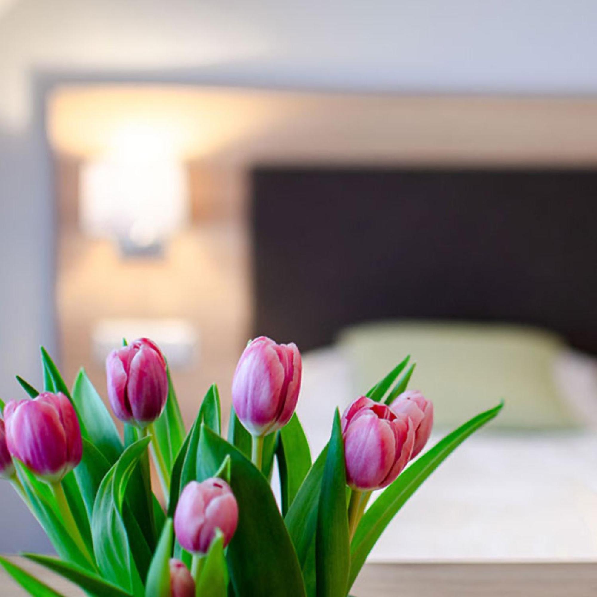 Appartements 'In Vino Veritas' Haslach im Kinzigtal Ngoại thất bức ảnh